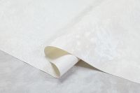 Обои Артекс New Look 6 10964-01 Винил на флизелине (1,06*10,05) Белый, Штукатурка — фото 7, Обои для стен