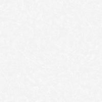 Обои Roberto Borzagi King 90114-1 Винил на флизелине (1,06*10) Белый, Штукатурка — фото 1, Обои для стен