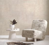 Обои Артекс Dieter Lange Avenue 10670-01 Винил на флизелине (1,06*10,05) Белый, Штукатурка — фото 5, Обои для стен