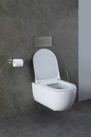 Товар: Унитаз Allen Brau Priority 4.31001.20 подвесной без сиденья - фото 28 Унитаз Allen Brau Priority 4.31001.20 подвесной без сиденья — фото 28, Подвесные унитазы