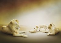 Товар: Фреска Ortograf Животные 5546 Фактура бархат FX Флизелин (3,8*2,7) Бежевый, Животные - фото 2 Фреска Ortograf Животные 5546 Фактура бархат FX Флизелин (3,8*2,7) Бежевый, Животные — фото 2, Фрески