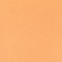 Обои Bernardo Bartalucci Legend 5068-60 Флизелин (1,06*10) Оранжевый, Однотонные — фото 1, Обои для стен