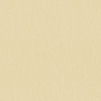 Обои Roberto Borzagi Queen I 90103-5 Винил на флизелине (1,06*10,05) Бежевый, Однотонные/Линии — фото 1, Обои для стен