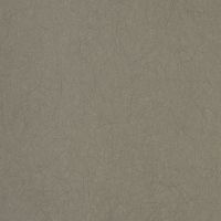 Товар: Обои Bernardo Bartalucci Legend Флизелин (1,06*10) Серый, Однотонные арт-5068-7 - фото 2 Обои Bernardo Bartalucci Legend Флизелин (1,06*10) Серый, Однотонные арт-5068-7 — фото 2, Обои