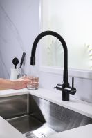 Смеситель для кухни Paulmark Salix Sa213419-418 Черный металлик — фото 3, Смесители