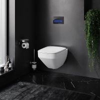 Товар: Комплект унитаза с инсталляцией AM.PM Inspire V2.0 FlashClean IS450A38.50A1700 с сиденьем Микролифт и Черной клавишей смыва - фото 8 Комплект унитаза с инсталляцией AM.PM Inspire V2.0 FlashClean IS450A38.50A1700 с сиденьем Микролифт и Черной клавишей смыва — фото 8, Комплекты унитаз + инсталляция