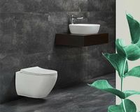 Товар: Унитаз beWash Bogen 88303214 подвесной Белый матовый с сиденьем Микролифт - фото 3 Унитаз beWash Bogen 88303214 подвесной Белый матовый с сиденьем Микролифт — фото 3, Унитазы