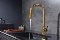 Товар: Смеситель для кухни Paulmark Universal Un213880-BG Брашированное золото - фото 4 Смеситель для кухни Paulmark Universal Un213880-BG Брашированное золото — фото 4, Смесители для кухни