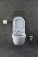 Товар: Унитаз Allen Brau Priority 4.31001.20 подвесной без сиденья - фото 34 Унитаз Allen Brau Priority 4.31001.20 подвесной без сиденья — фото 34, Подвесные унитазы