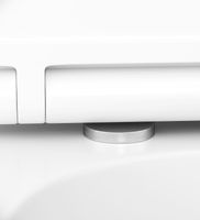 Комплект унитаза с инсталляцией AM.PM Spirit V2.0 FlashClean IS47031.701700 с сиденьем Микролифт и клавишей смыва Никель матовый — фото 9, Комплекты унитаз + инсталляция