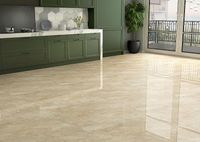 Керамогранит Pardis Ceramic Pazh Zina 16645 60х60 см — фото 10, Керамогранит