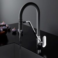 Смеситель для кухни AM.PM Like F8007802 Хром Черный — фото 8, Смесители для кухни