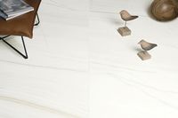 Товар: Керамогранит Ariostea Marmi Classici Bianco Covelano luc rett PL612480 60x120 см - фото 2 Керамогранит Ariostea Marmi Classici Bianco Covelano luc rett PL612480 60x120 см — фото 2, Керамогранит