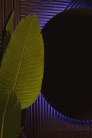 Товар: Зеркало Silver Mirrors Savanna-RGB 77 LED-00002604 с подсветкой со Smart-управлением и диммером - фото 5 Зеркало Silver Mirrors Savanna-RGB 77 LED-00002604 с подсветкой со Smart-управлением и диммером — фото 5, Зеркала в ванную комнату