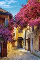 Фреска Ortograf Городской пейзаж 4588 Фактура бархат FX Флизелин (1,8*2,7) Бежевый/Розовый/Голубой, Город/Цветы — фото 2, Фрески