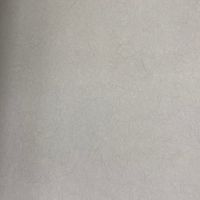 Обои Bernardo Bartalucci Legend Флизелин (1,06*10) Серый, Однотонные арт-5068-25 — фото 1, Обои