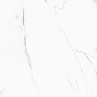 Товар: Керамогранит A-Ceramica DU_5004 BG_B Polished 60х60 см - фото 2 Керамогранит A-Ceramica DU_5004 BG_B Polished 60х60 см — фото 2, Керамогранит