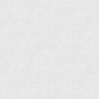 Обои Bernardo Bartalucci Bigi Флизелин (1,06*10) Серый, Штукатурка арт-5067-8 — фото 1, Обои для стен