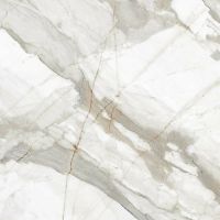 Керамогранит Гранитея Neiva коричневый матовый G394 60х60 см — фото 10, Керамогранит