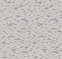 Обои Milassa Iceland ICE2 001/1 Флизелин (1*10,05) Серый, Рыбы — фото 2, Обои для стен