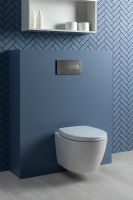 Товар: Унитаз Aquanet ZV-1 303977 подвесной с сиденьем Микролифт - фото 23 Унитаз Aquanet ZV-1 303977 подвесной с сиденьем Микролифт — фото 23, Подвесные унитазы