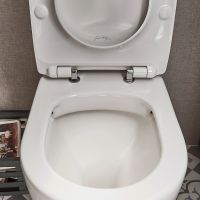 Товар: Крышка-сиденье для унитаза Jacob Delafon Aleo/Soprano быстросъемное, с микролифтом, белое (E33127-0) - фото 5 Крышка-сиденье для унитаза Jacob Delafon Aleo/Soprano быстросъемное, с микролифтом, белое (E33127-0) — фото 5, Сиденья для унитаза