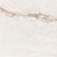 Керамогранит Pamesa Ceramica Cr.Pisa Gold Compacglass Rect. 60х60 см — фото 1, Керамогранит