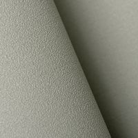 Обои Andrea Rossi Spectrum Pro 54383-6 Винил на флизелине (1,06*10) Серый, Однотонные — фото 2, Обои для стен