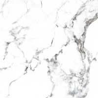 Товар: Керамогранит Arcadia Ceramica Borghini silver CR4006-A 60х60 см - фото 7 Керамогранит Arcadia Ceramica Borghini silver CR4006-A 60х60 см — фото 7, Керамогранит