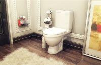 Унитаз компакт Rosa Неро Люкс 4620008196022 Белый с бачком и сиденьем Микролифт — фото 2, Напольные унитазы