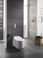 Товар: Клавиша смыва Grohe Skate Cosmopolitan 38732GL0 Холодный рассвет - фото 2 Клавиша смыва Grohe Skate Cosmopolitan 38732GL0 Холодный рассвет — фото 2, Комплектующие для душевого оборудования