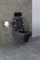 Товар: Унитаз Allen Brau Infinity 4.21011.AN подвесной Антрацит без сиденья - фото 45 Унитаз Allen Brau Infinity 4.21011.AN подвесной Антрацит без сиденья — фото 45, Подвесные унитазы