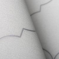 Обои Andrea Rossi Spectrum Pro 54388-11 Винил на флизелине (1,06*10) Серый, Дамаск — фото 2, Обои для стен