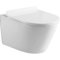 Унитаз Black&White Universe W-703 703W00 подвесной с сиденьем Микролифт — фото 1, Унитазы