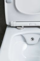 Унитаз биде Allen Brau Liberty 2 4.33009.20 подвесной Белый без сиденья — фото 43, Подвесные унитазы