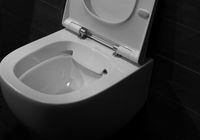 Унитаз Pestan Fluenta Rimless 40006661 подвесной с сидением Микролифт — фото 8, Унитазы