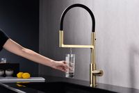 Смеситель для кухни Paulmark Tornado To213402-SBG Светлое брашированное золото — фото 3, Смесители для кухни