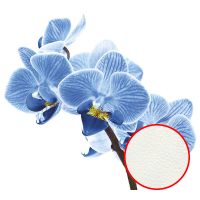 Фреска Ortograf Цветы 50038 Фактура флок FLK Флизелин (3*2,7) Белый/Голубой, Цветы — фото 1, Фрески