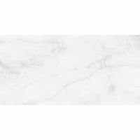 Керамогранит Staro Palacio Antisky Grey light Polished 60х120 см — фото 1, Керамогранит