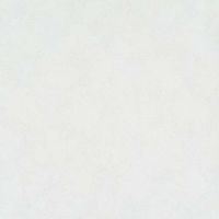 Товар: Обои Артекс The Best 2 10485-01 Винил на флизелине (1,06*10,05) Белый/Серый, Штукатурка - фото 1 Обои Артекс The Best 2 10485-01 Винил на флизелине (1,06*10,05) Белый/Серый, Штукатурка — фото 1, Обои для стен