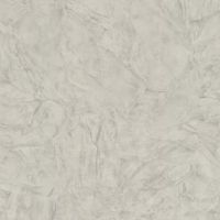 Обои Zambaiti Parati Trussardi VI 46051 Винил на флизелине (1,06*10,05) Серый, Штукатурка — фото 1, Обои для стен