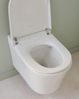 Товар: Комплект унитаза биде с инсталляцией Jacob Delafon Seine E34360-00 с сиденьем Микролифт и Белой глянцевой клавишей смыва - фото 19 Комплект унитаза биде с инсталляцией Jacob Delafon Seine E34360-00 с сиденьем Микролифт и Белой глянцевой клавишей смыва — фото 19, Умные унитазы