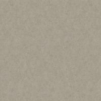 Обои LOYMINA A La Prima Pm10 002/1 Флизелин (1*10,05) Серый, Штукатурка — фото 1, Обои для стен