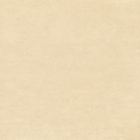 Товар: Керамогранит NewTrend Design Art Honey GP2020DNA09 20х20 см - фото 6 Керамогранит NewTrend Design Art Honey GP2020DNA09 20х20 см — фото 6, Керамогранит