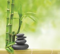 Товар: Фреска Ortograf Цветы 10444 Фактура бархат FX Флизелин (3*2,7) Зеленый, Листья - фото 2 Фреска Ortograf Цветы 10444 Фактура бархат FX Флизелин (3*2,7) Зеленый, Листья — фото 2, Фрески