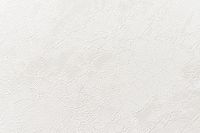 Обои Артекс The Best 3 10749-01 Винил на флизелине (1,06*10,05) Белый, Штукатурка — фото 3, Обои для стен