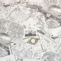 Обои Solo Maps E800300 Винил на флизелине (1,06*10) Серый/Бежевый, Карты — фото 1, Обои для стен