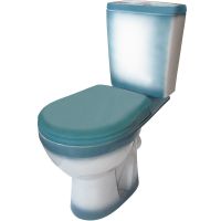 Унитаз компакт Rosa Рио 4640021065730 Зеленый декор с бачком и сиденьем — фото 1, Напольные унитазы