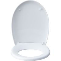 Товар: Унитаз Aquanet ZV-1 303977 подвесной с сиденьем Микролифт - фото 18 Унитаз Aquanet ZV-1 303977 подвесной с сиденьем Микролифт — фото 18, Подвесные унитазы