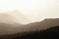 Товар: Фреска Ortograf Горы 34069 Фактура бархат FX Флизелин (4*2,7) Бежевый/Зеленый, Горы/Деревья - фото 2 Фреска Ortograf Горы 34069 Фактура бархат FX Флизелин (4*2,7) Бежевый/Зеленый, Горы/Деревья — фото 2, Фрески